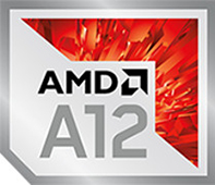 AMD Pro A12 9800